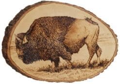 Walnut Hollow Basswood Country Round, Extra Large for Woodburning, Home D??cor and Rustic Weddings