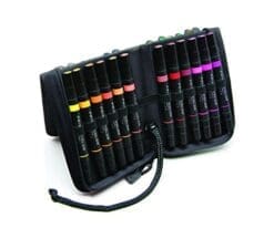 Prismacolor Premier Double-Ended Art Markers, Fine and Chisel Tip, 24-Count with Carrying Case