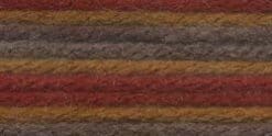 Bulk Buy: Vanna's Choice Yarn (3-Pack) Autumn Print 860-203
