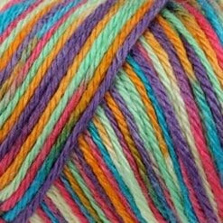 Caron Simply Soft Paints Yarn, Single Ball,  4 Ounce, Rainbow Bright