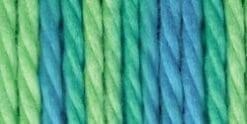 Bulk Buy: Bernat Softee Baby Chunky Ombre Yarn (3-Pack) Jungle Jive 161197-97004