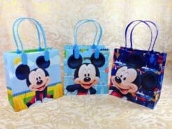 48PC DISNEY MICKEY MINNIE MOUSE GOODIE BAGS PARTY FAVOR BAGS GIFT BAGS