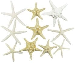 U.S. Shell, Inc. Starfish Mix