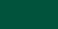 Bulk Buy: Dritz Dylon Permanent Fabric Dye 1.75 Ounce Dark Green 87000-9 (3-Pack)